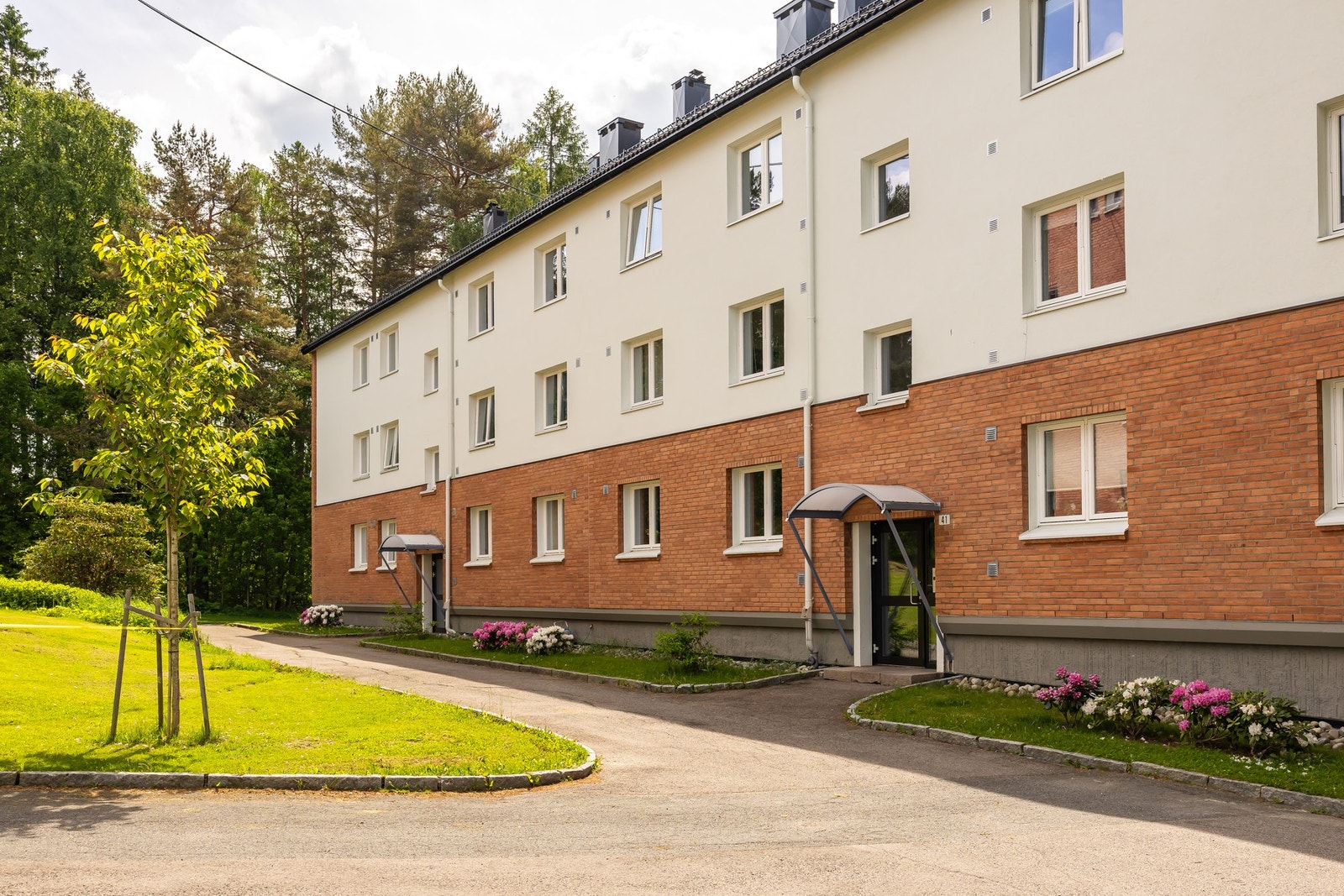 Asfaltert adkomst og internveier. Galleribilde