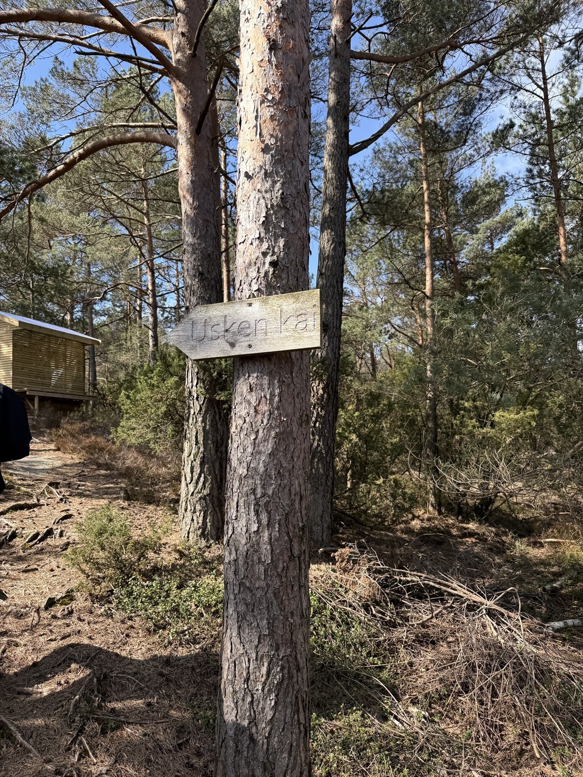 Fra båtplassen og Uskakalven kai, følger du skiltene til Usken kai Galleribilde