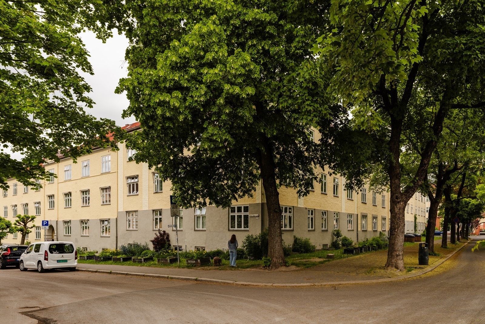 Velkommen til en hyggelig visning! Galleribilde
