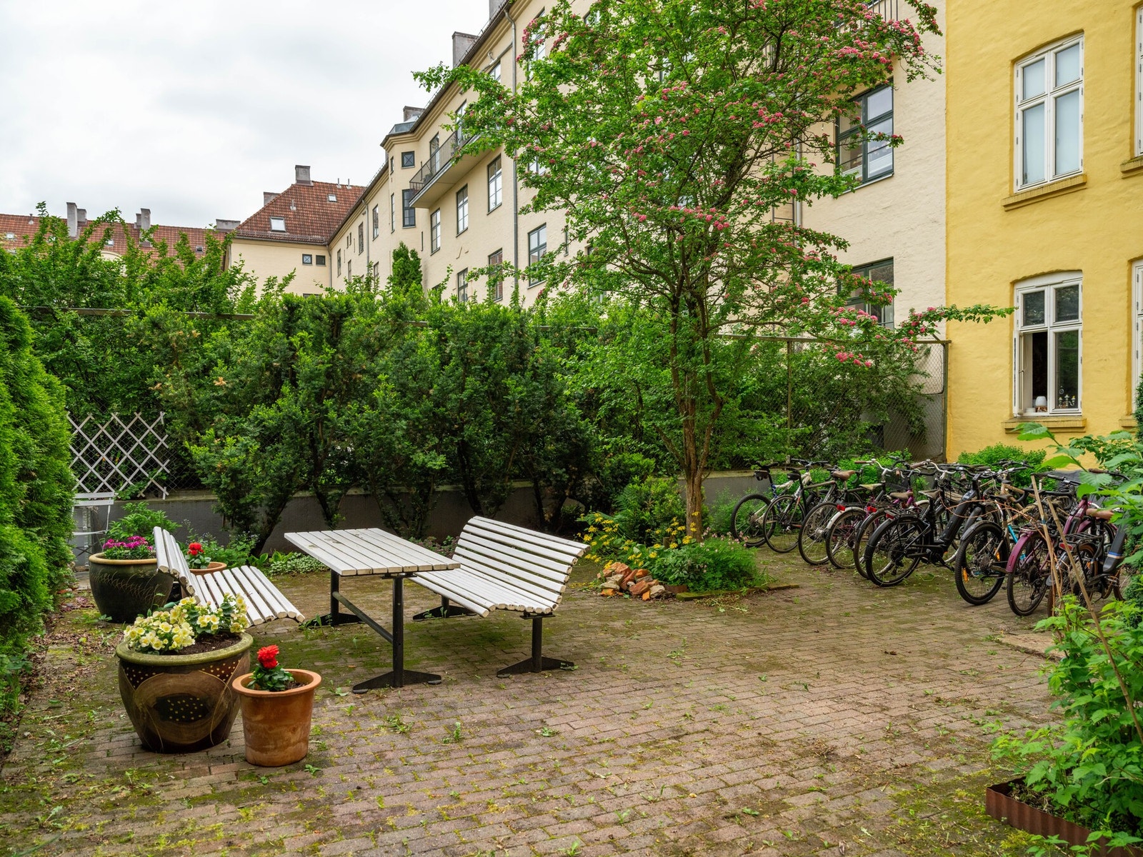 Borettslaget har en koselig felles bakgård, opparbeidet med pen beplantning og sittegrupper. Galleribilde
