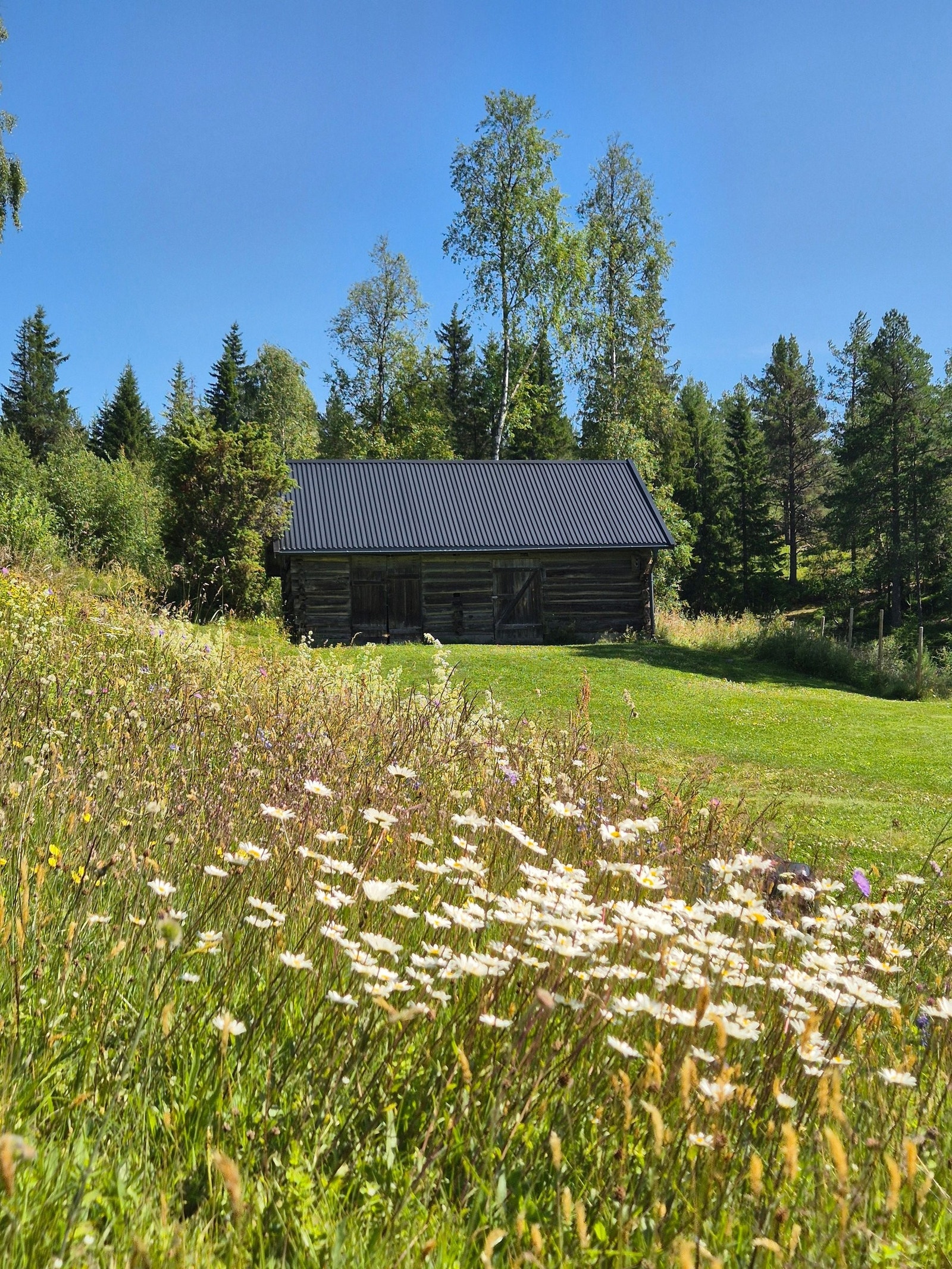 Sjarmerende gammelt laftet bygg på tunet. Galleribilde