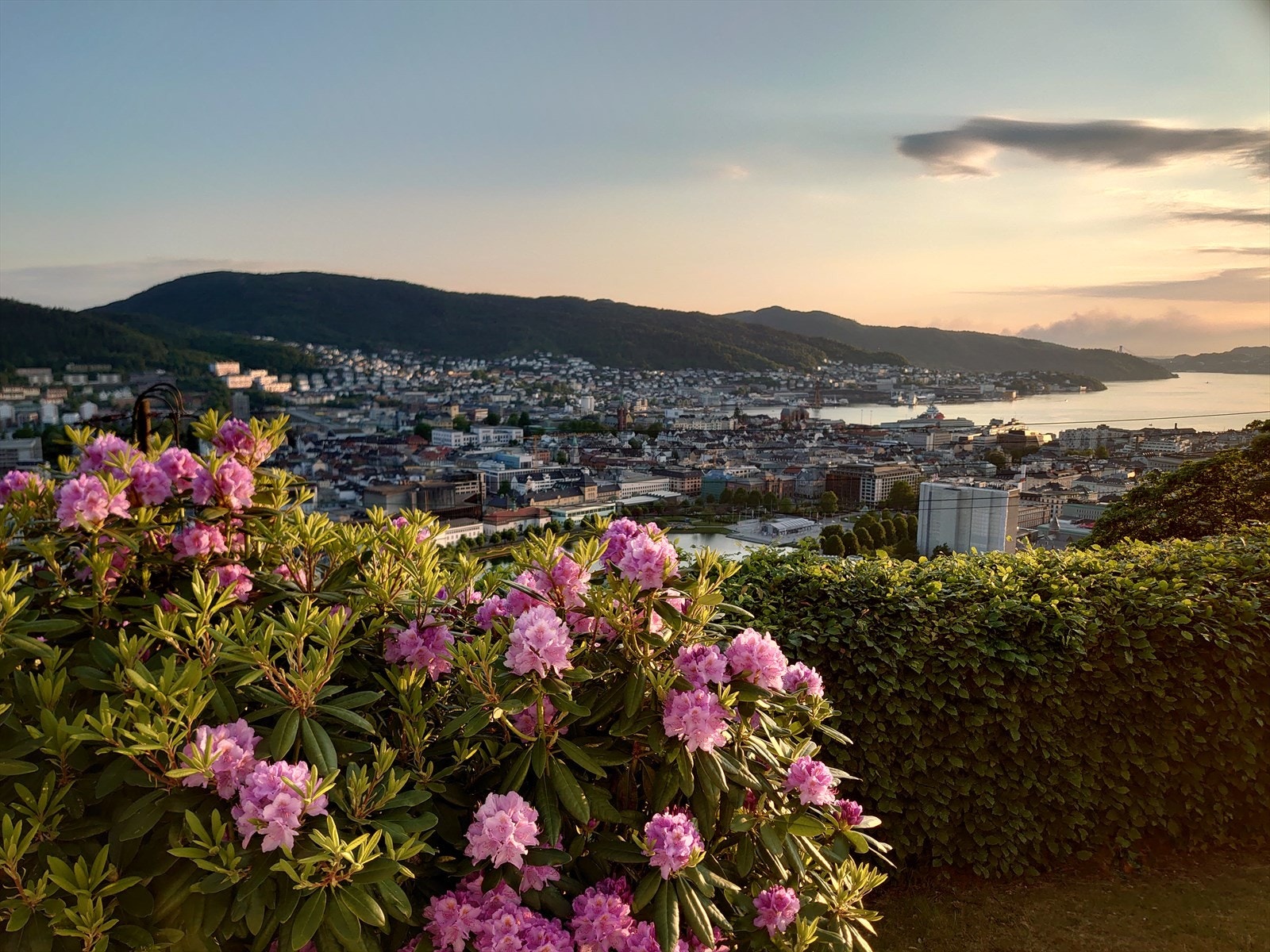 Eiendommen på 616 m² ligger i et skrånende terreng med prydbusker som rhododendron og frukttrær. Galleribilde