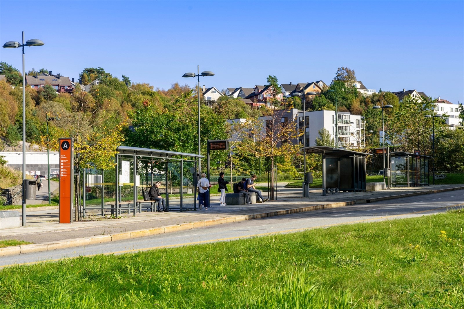 - Ved Dolvik terminal går det et bredt utvalg av busslinjer i ulike retninger - Galleribilde