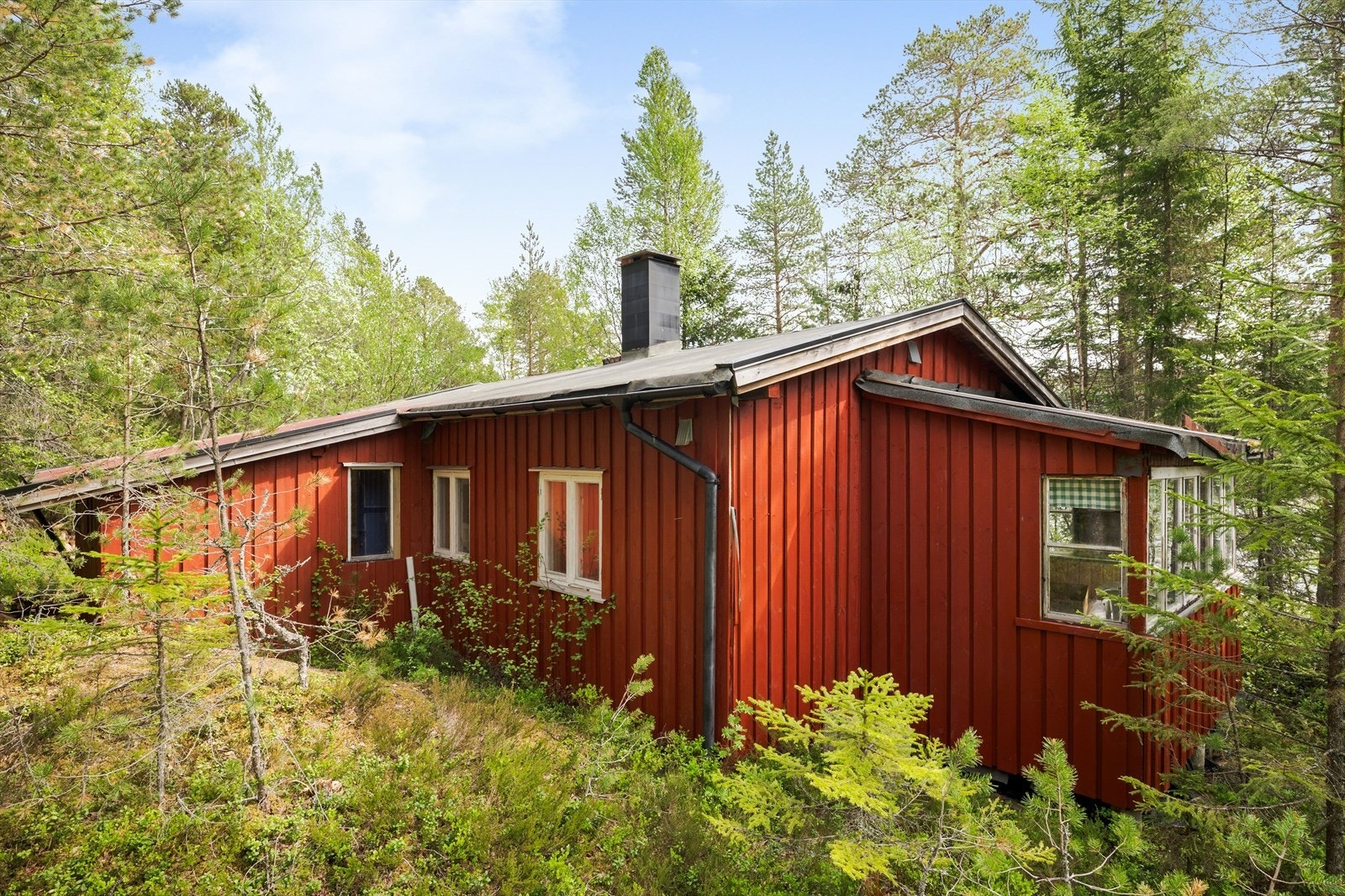 Hytta er beliggende midt i fantastisk natur med fiske- og badevann rett utenfor hyttedøra! Galleribilde