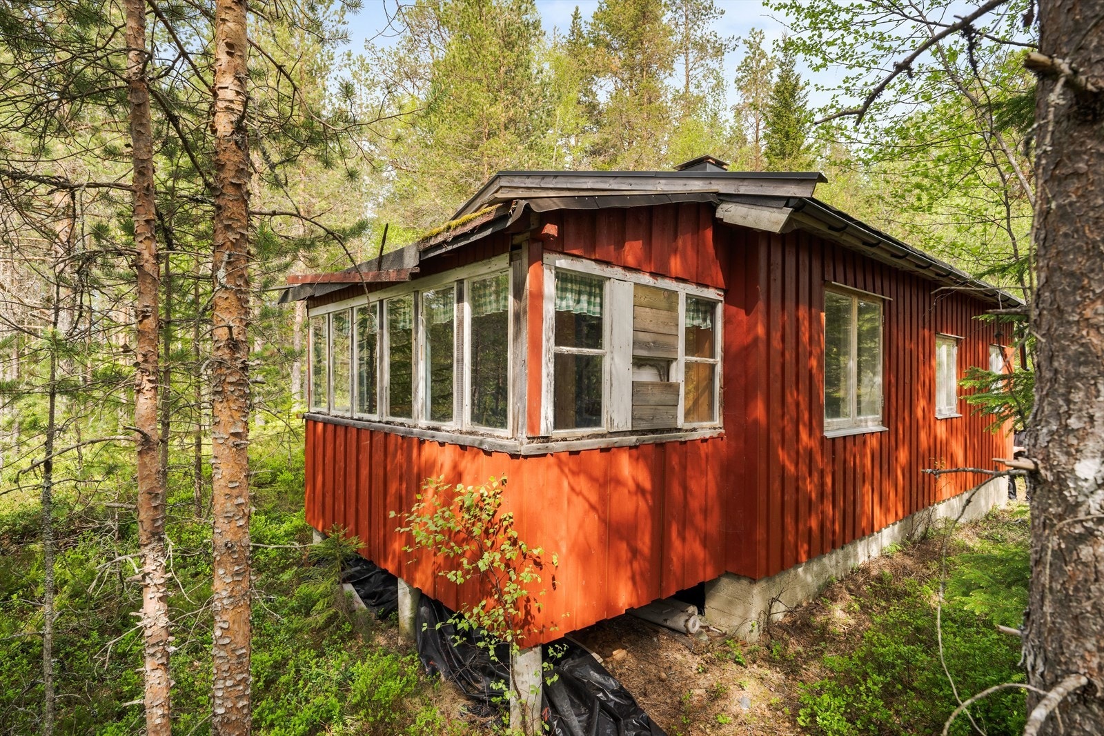 Hytta ligger fredelig og skjermet til i naturskjønne omgivelser, med nærhet til Oppsjøen. Galleribilde