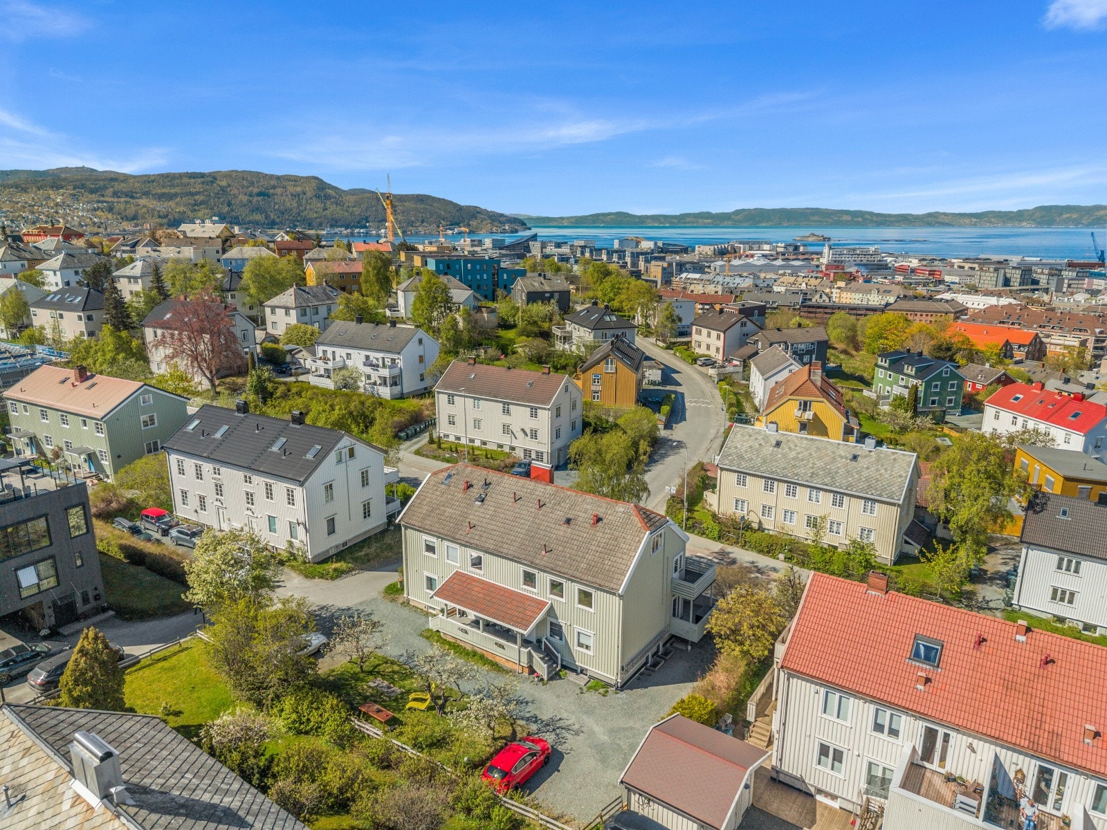 Høyt og fritt på Rosenborg, med utsikt over byens tak. Galleribilde