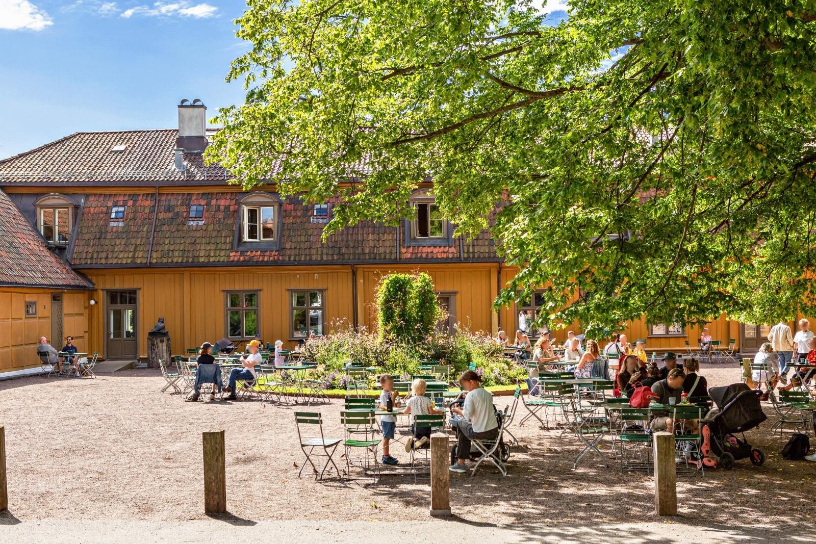 Hovedgård i Botanisk hage Galleribilde