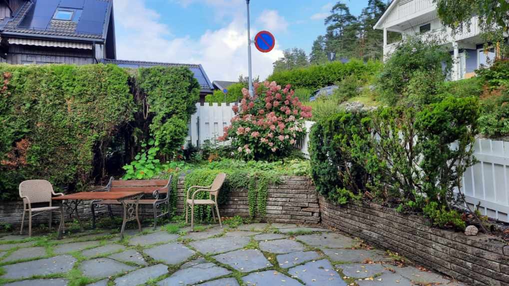 Selgers private bilde. Galleribilde