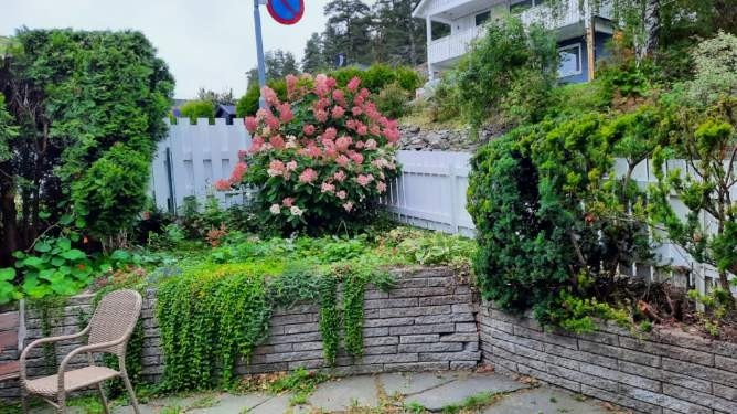 Selgers private bilde. Galleribilde