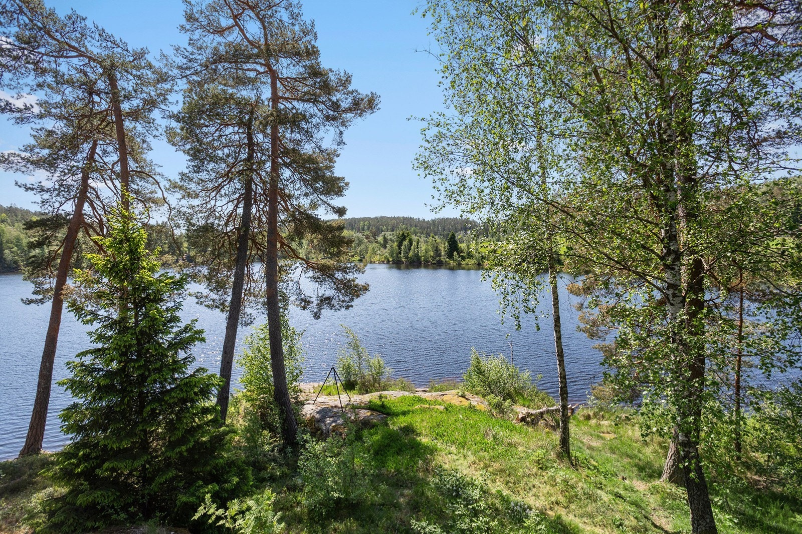 Her kan du nyte rolige dager ved vannkanten, omgitt av skog. Galleribilde