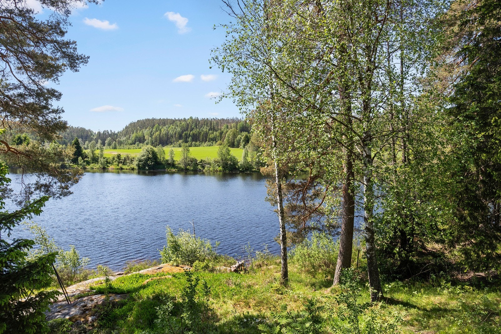 Tomten er delvis opparbeidet og delvis naturtomt. Galleribilde