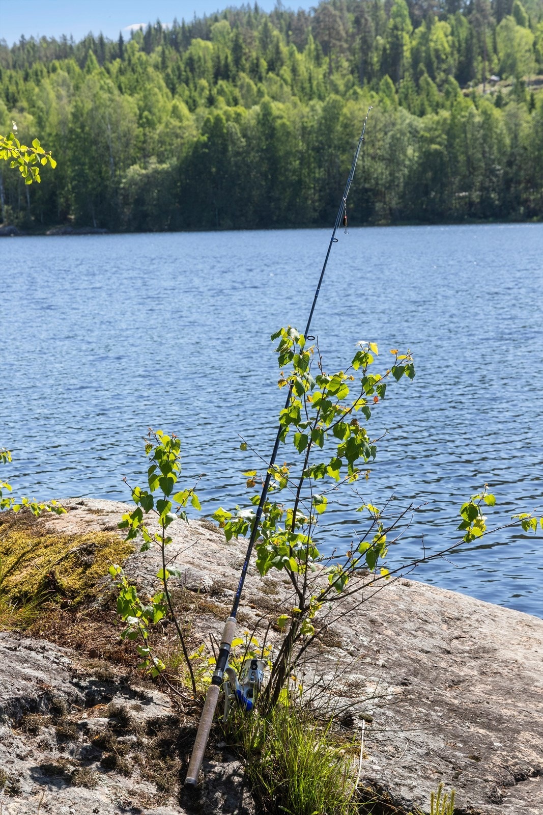 Vannet byr på gode fiskemuligheter rett fra egen tomt. Galleribilde