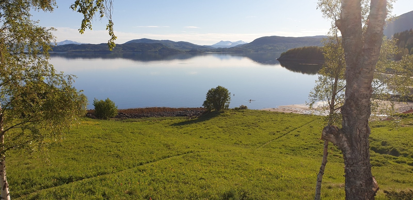 Selgers eget bilde Galleribilde