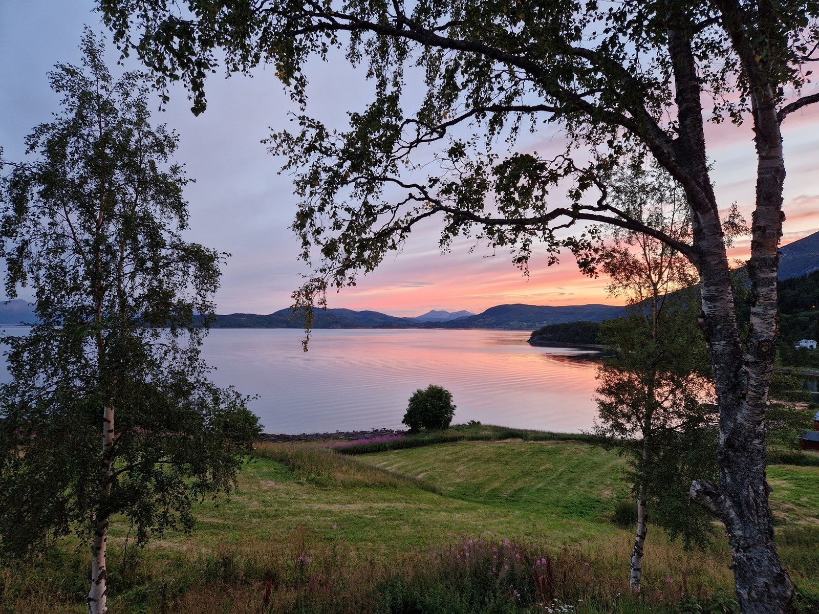 Selgers eget bilde Galleribilde