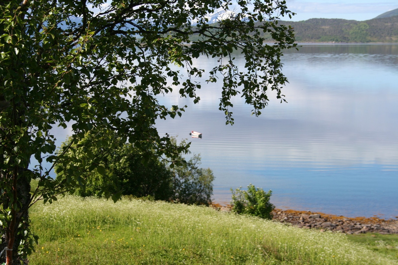 Selgers eget bilde Galleribilde