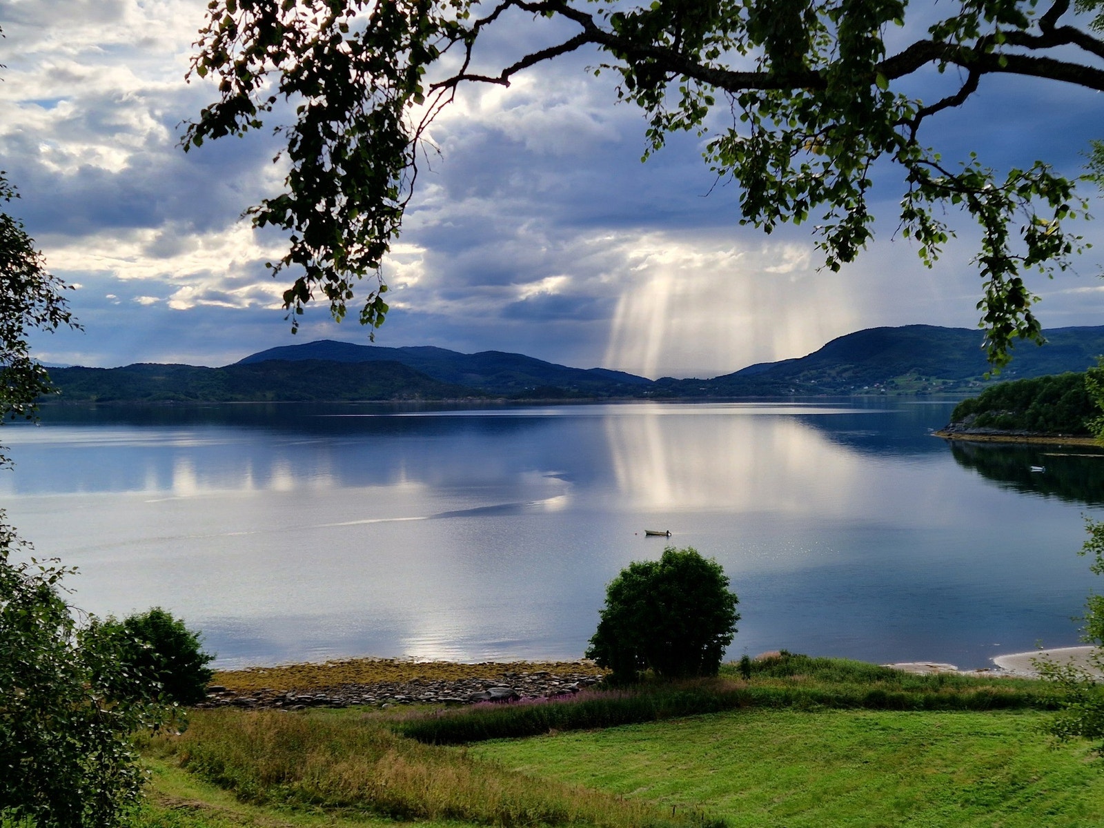Selgers eget bilde Galleribilde