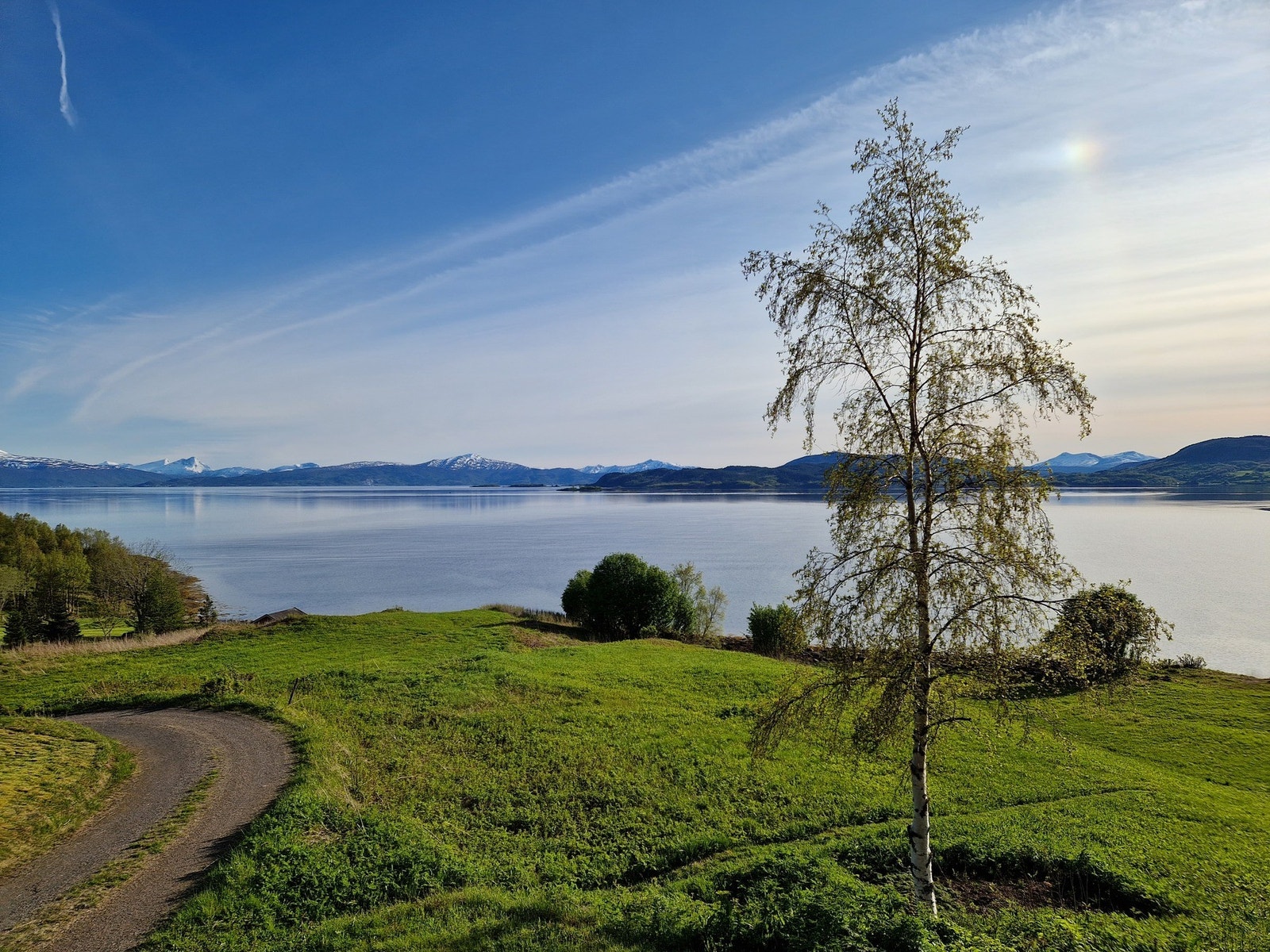 Selgers eget bilde Galleribilde