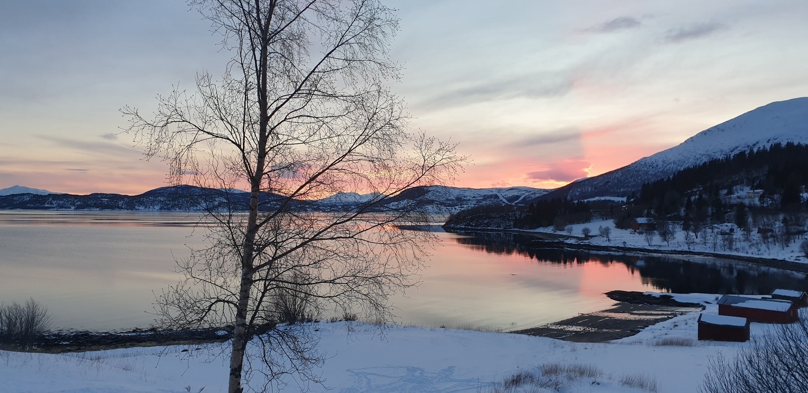 Selgers eget bilde Galleribilde