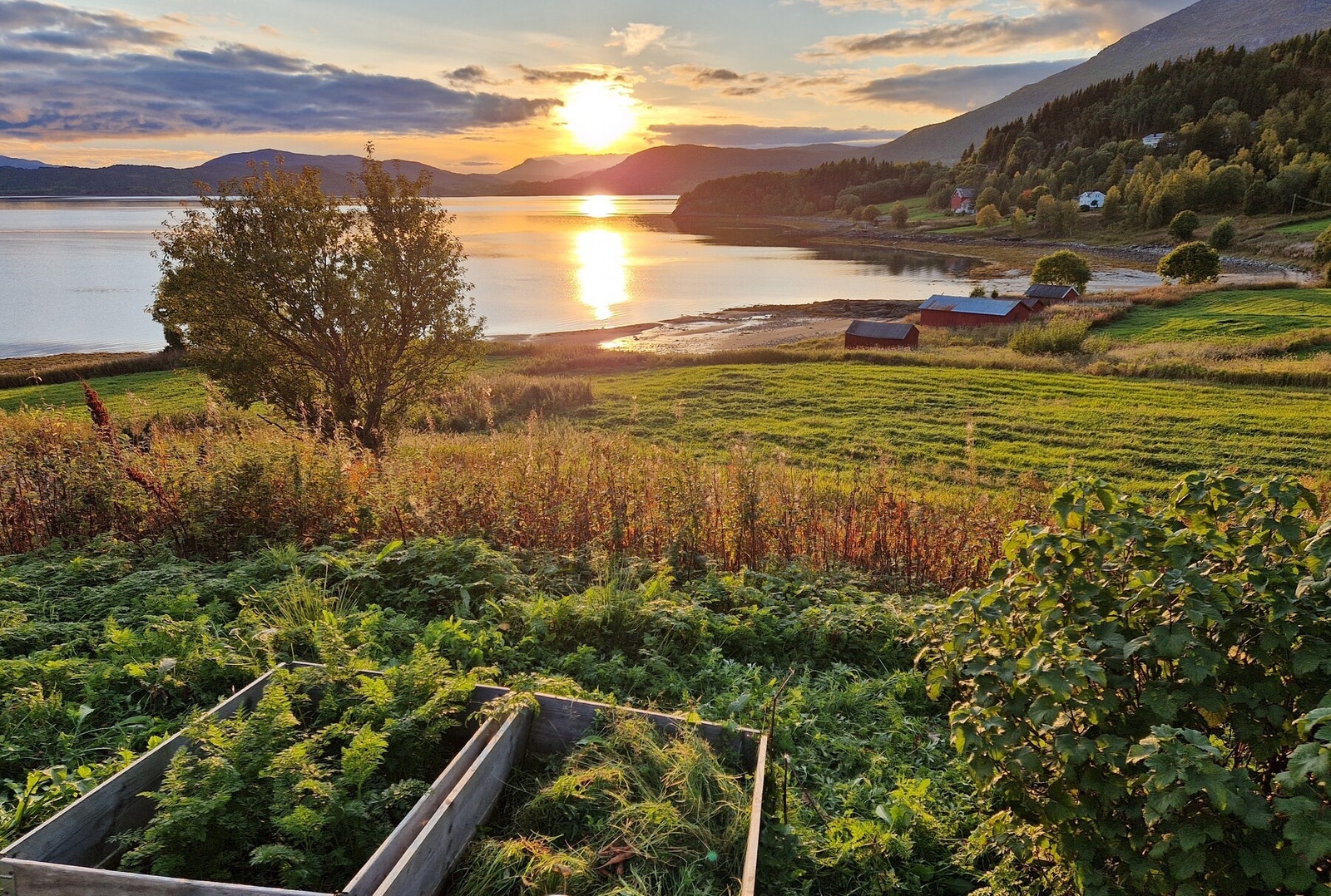 Selgers eget bilde Galleribilde