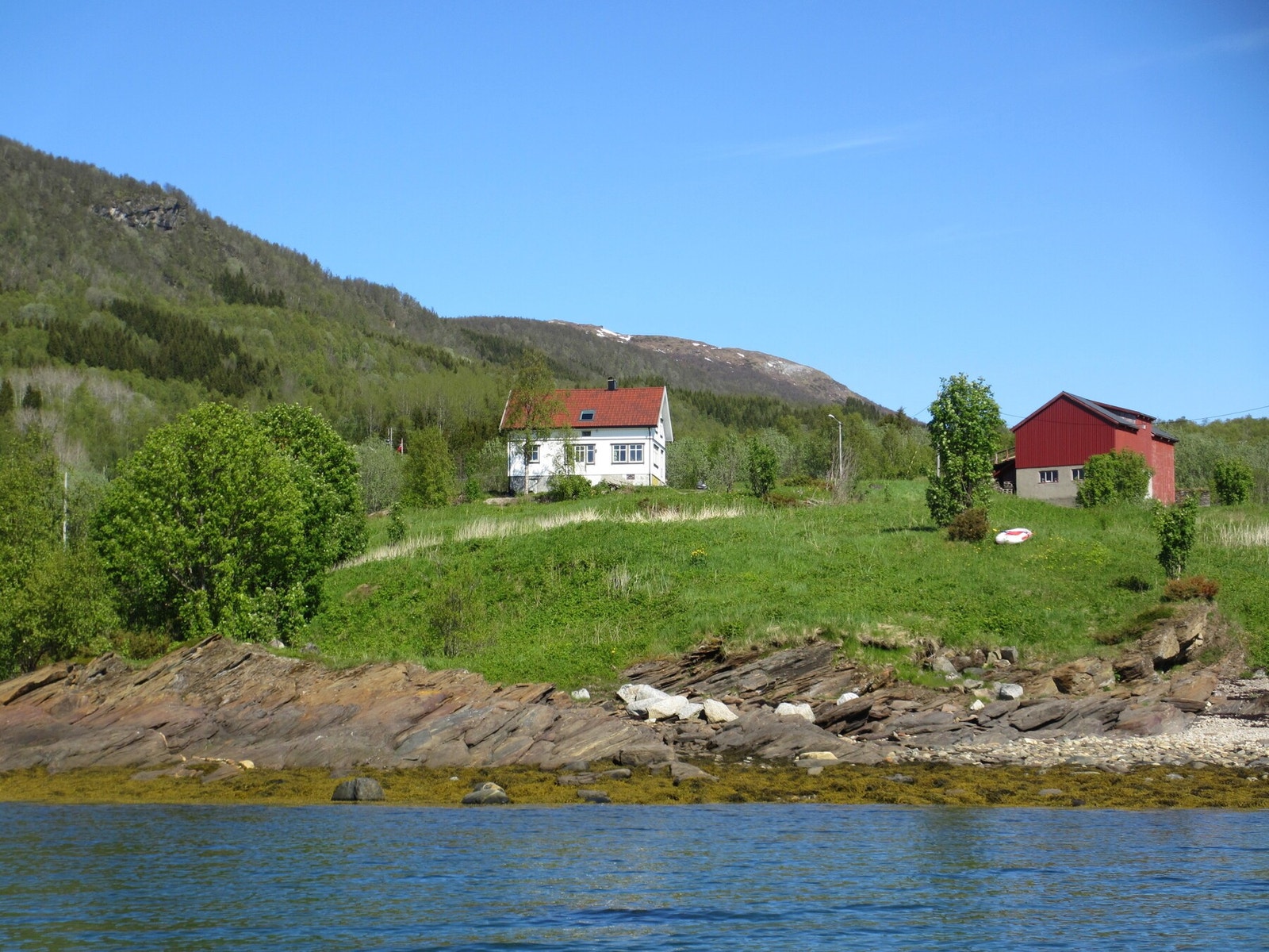 Selgers eget bilde Galleribilde