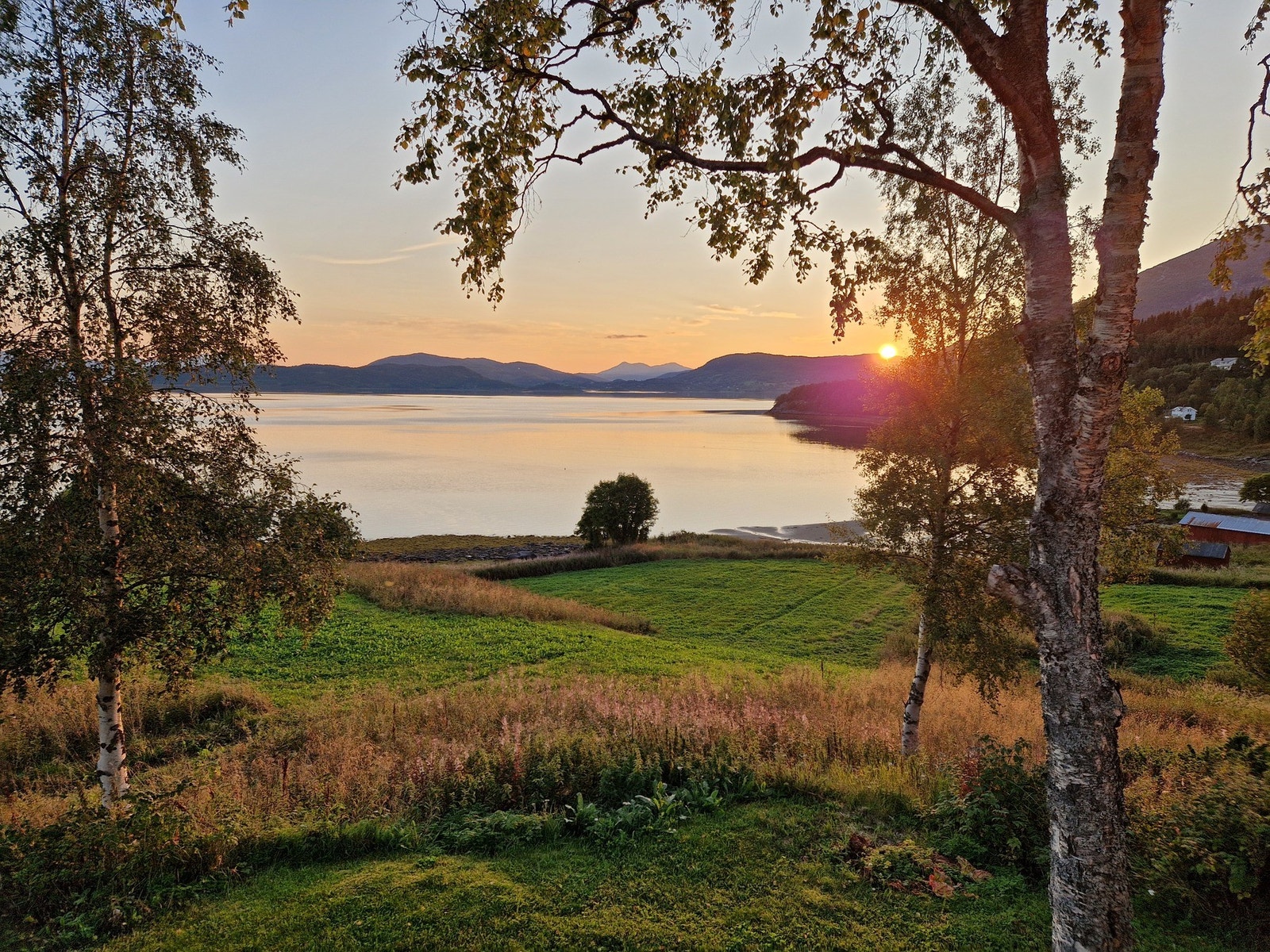 Selgers eget bilde Galleribilde