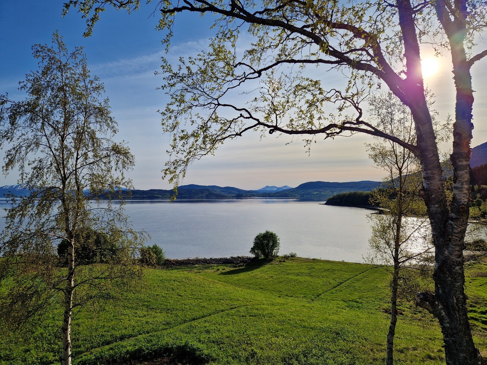 Selgers eget bilde Galleribilde