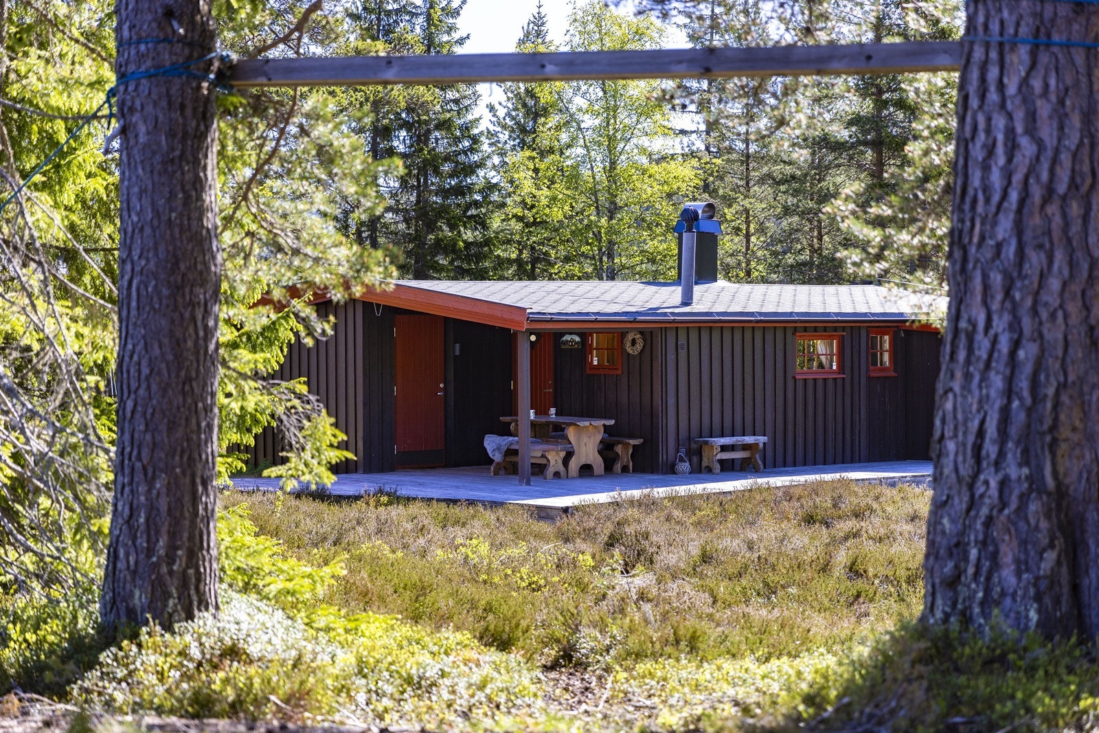 Hytta ligger skjermet til med skog og natur som nærmeste nabo. Galleribilde