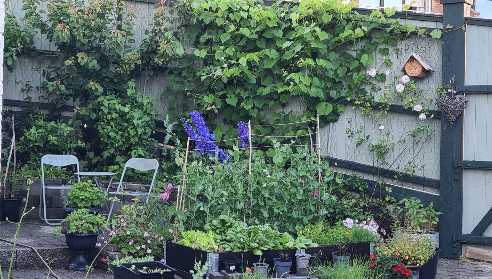 Selgers private bilder: Hagen på sommerstid. Galleribilde