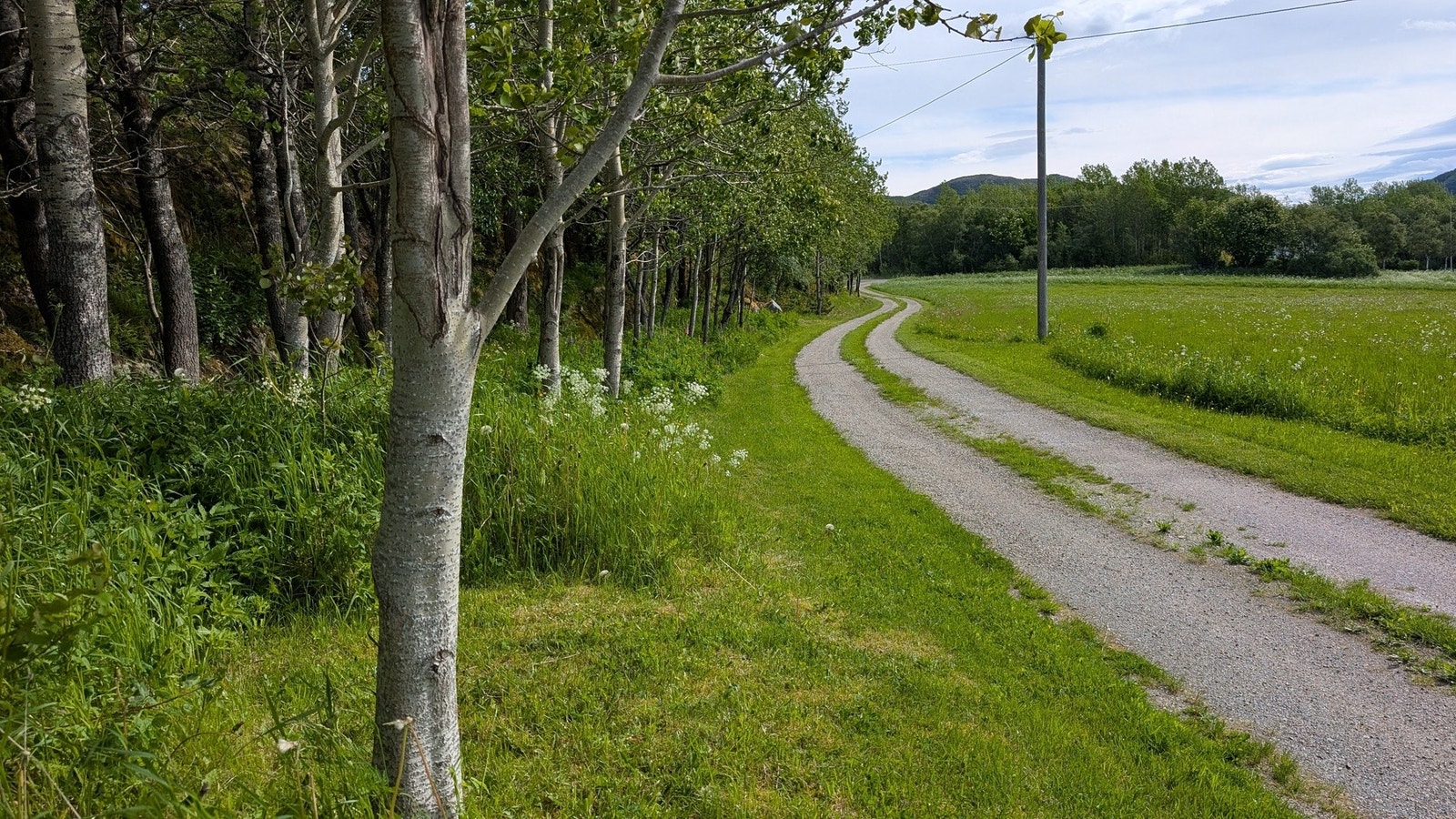 Innkjørsel til gårdplass. Privat foto fra selger. Galleribilde