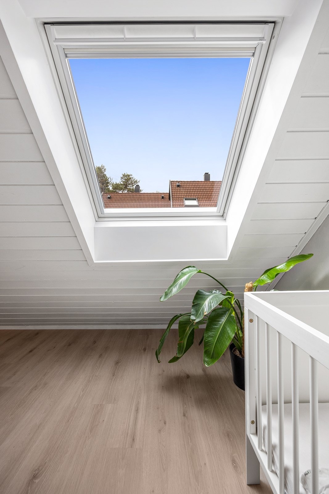 Takvinduet gir godt utsyn. Galleribilde