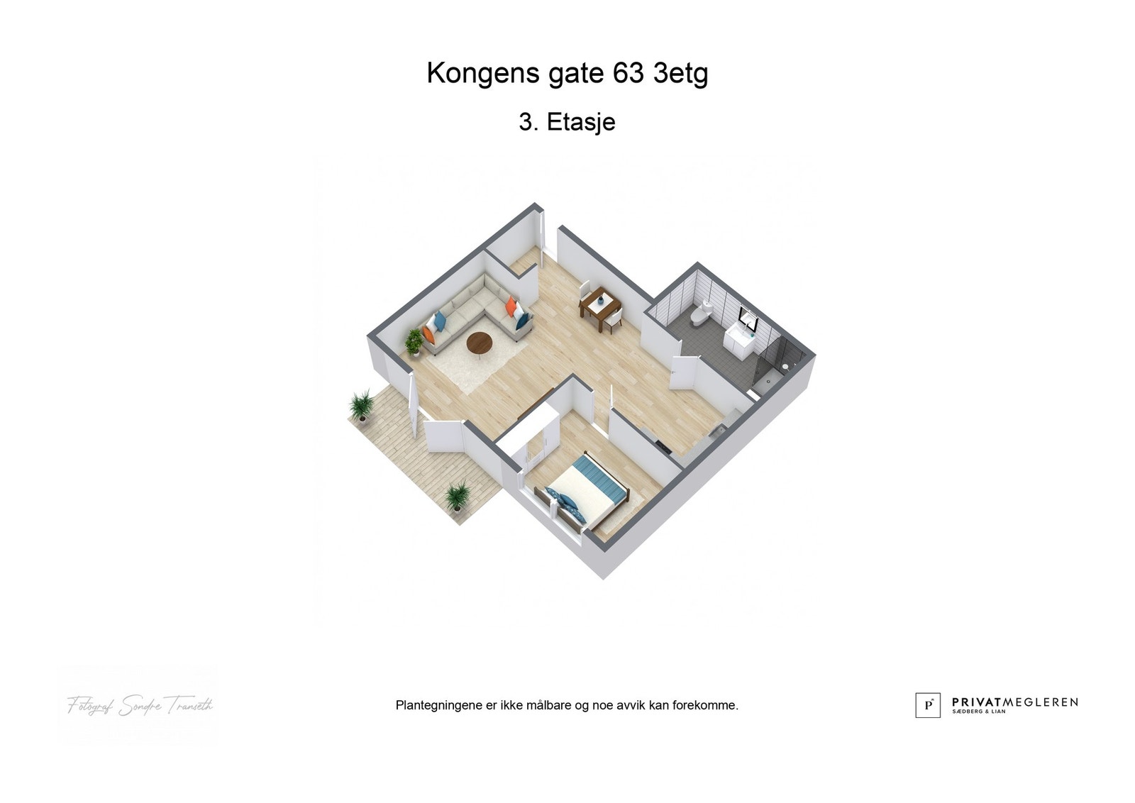 - 3D plantegning (ikke målbart) - Galleribilde
