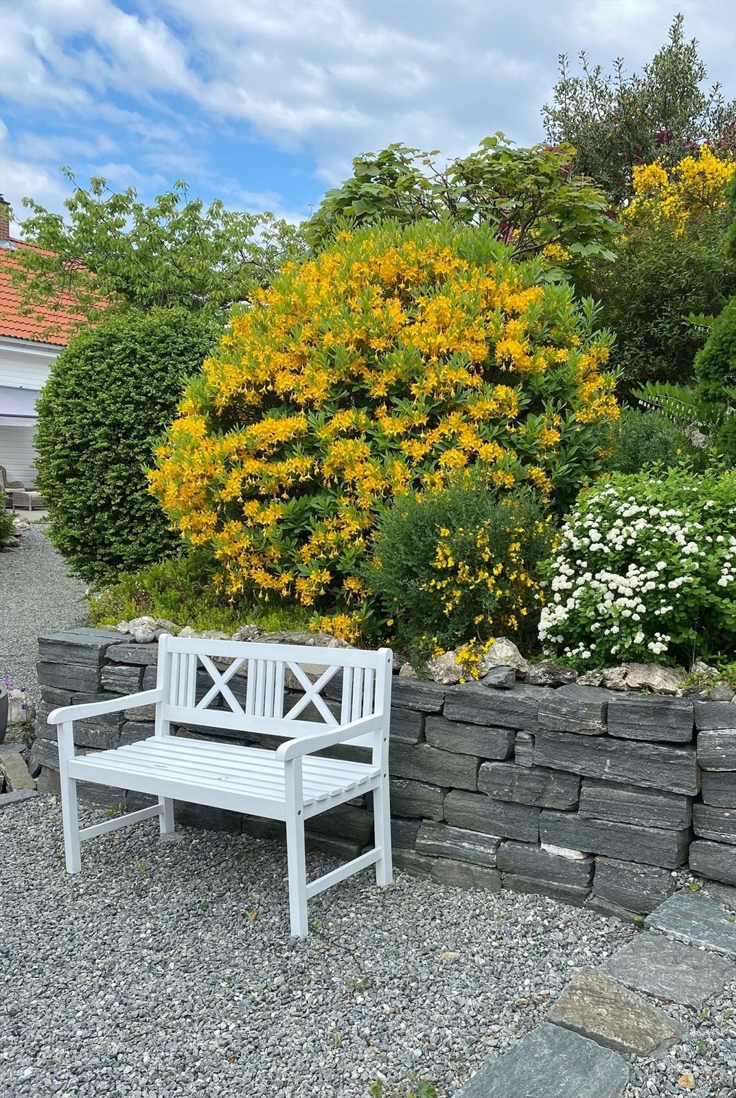 Selgers eget bilde. Galleribilde