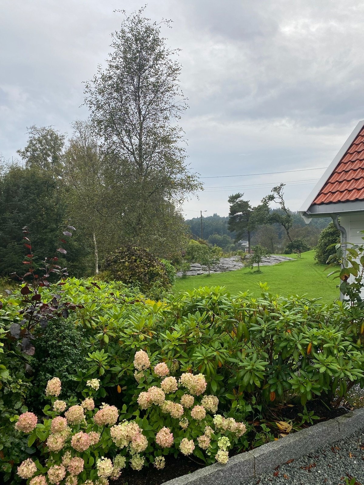 Selgers eget bilde. Galleribilde