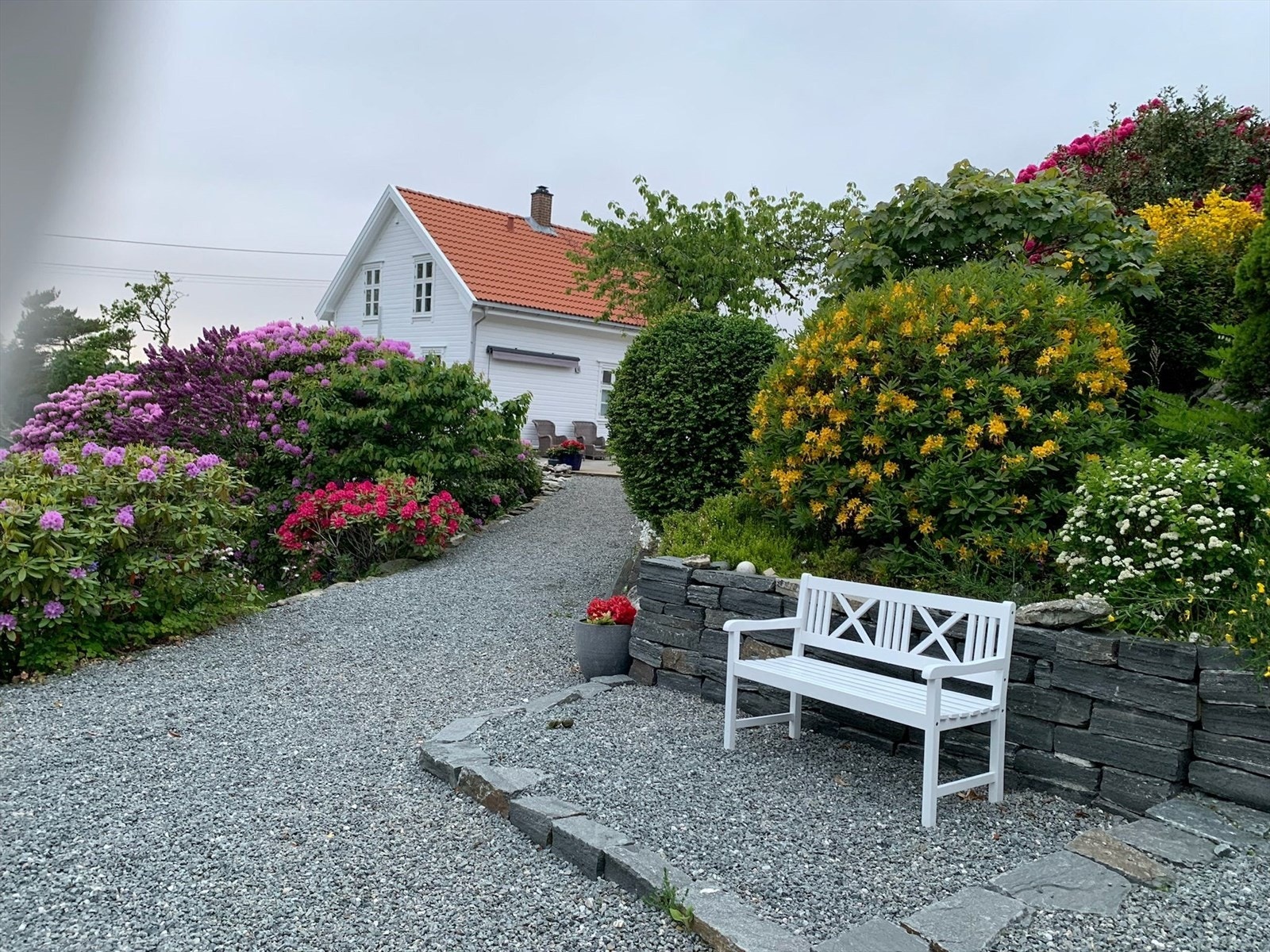 Selgers eget bilde. Galleribilde