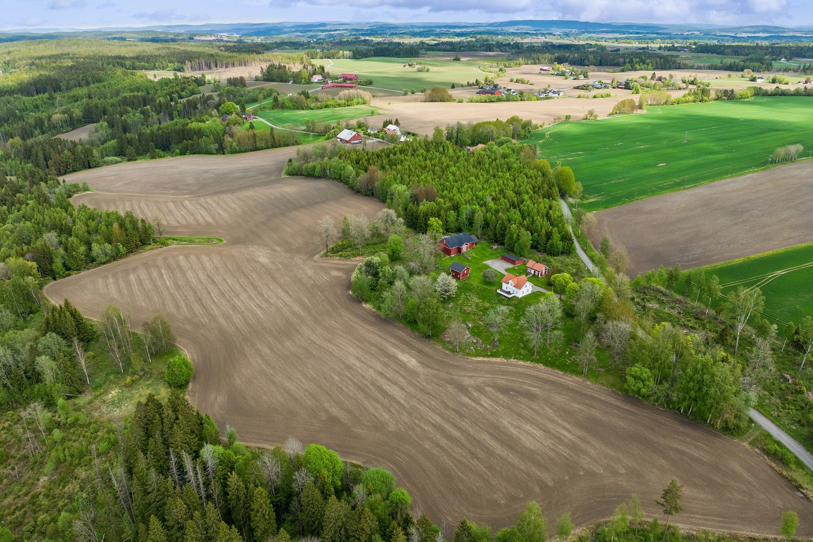 Eiendommen utgjør 196,1 dekar totalt, og består av ca. 75,5 dekar fulldyrka jord, 7,3 dekar innmarksbeite, og 101 dekar produktiv skog. Galleribilde