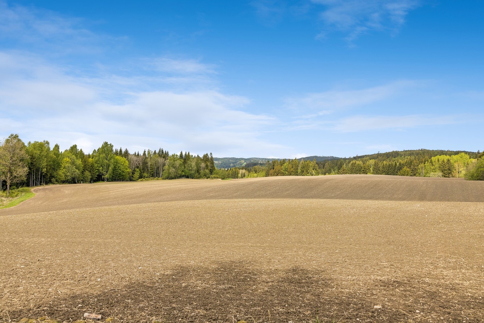 Den dyrkede marken består av to skifter. Det er middels god arrondering, med noe kantvirkning fra skog. Galleribilde