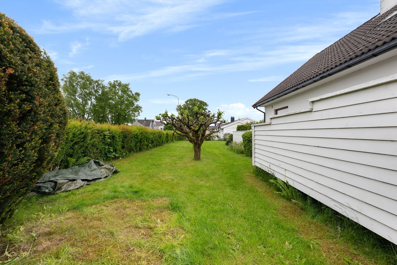 Hage 01 Galleribilde