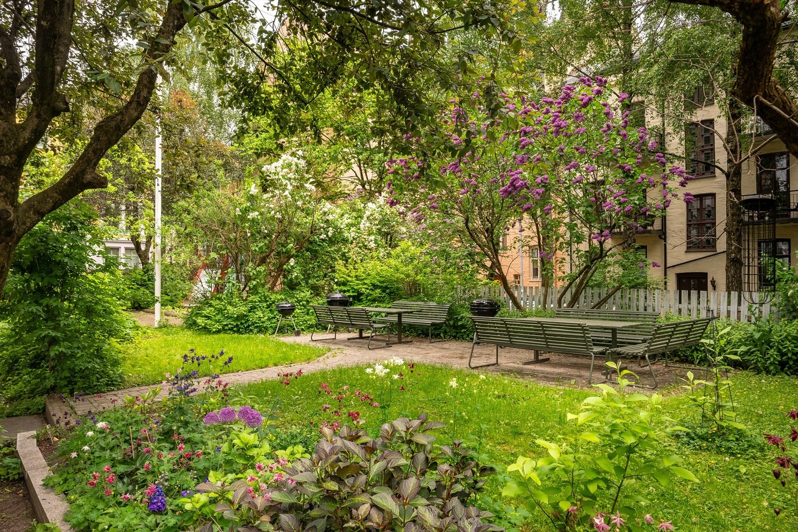 Bakgården er en liten, skjult oase med gress, trær og planter. Galleribilde