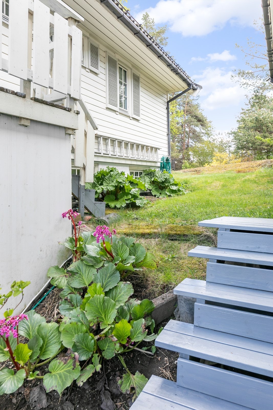 I hagen finner du en rekke ulike vekster og planter, en sommerdrøm! Galleribilde