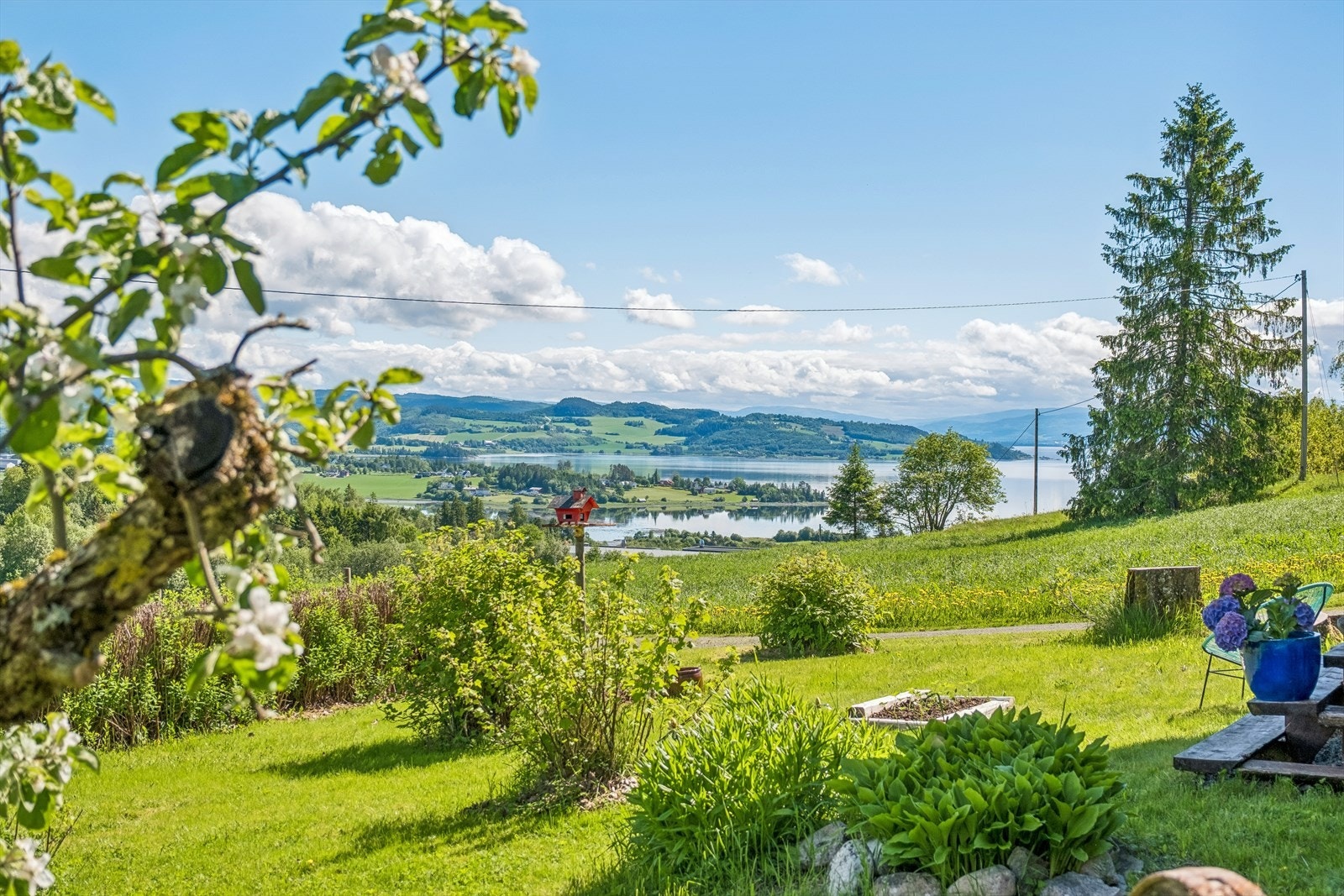 Fantastisk utsikt mot Trondheimsfjorden og Straumen Galleribilde