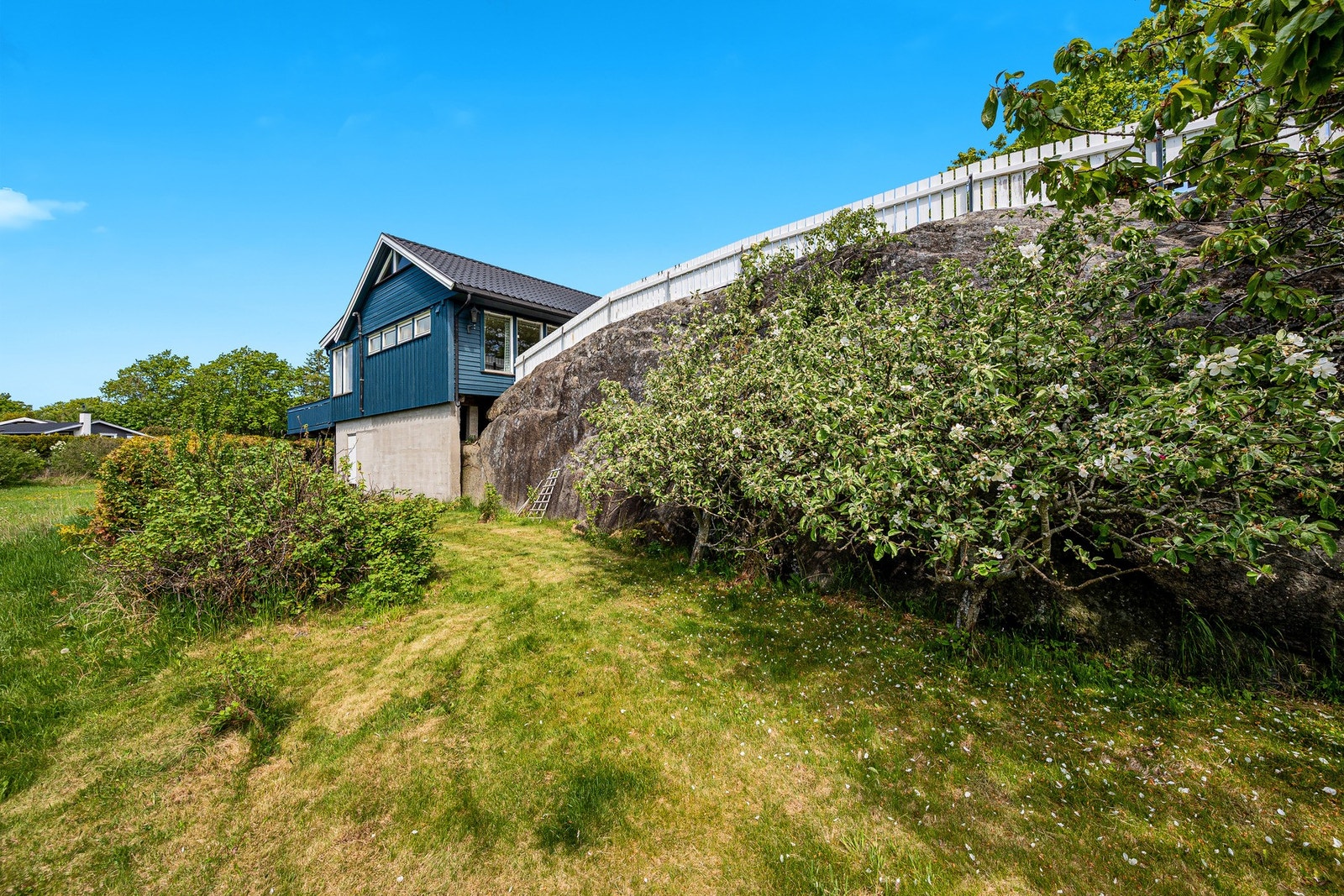 Grøntområde rundt hytta. Galleribilde