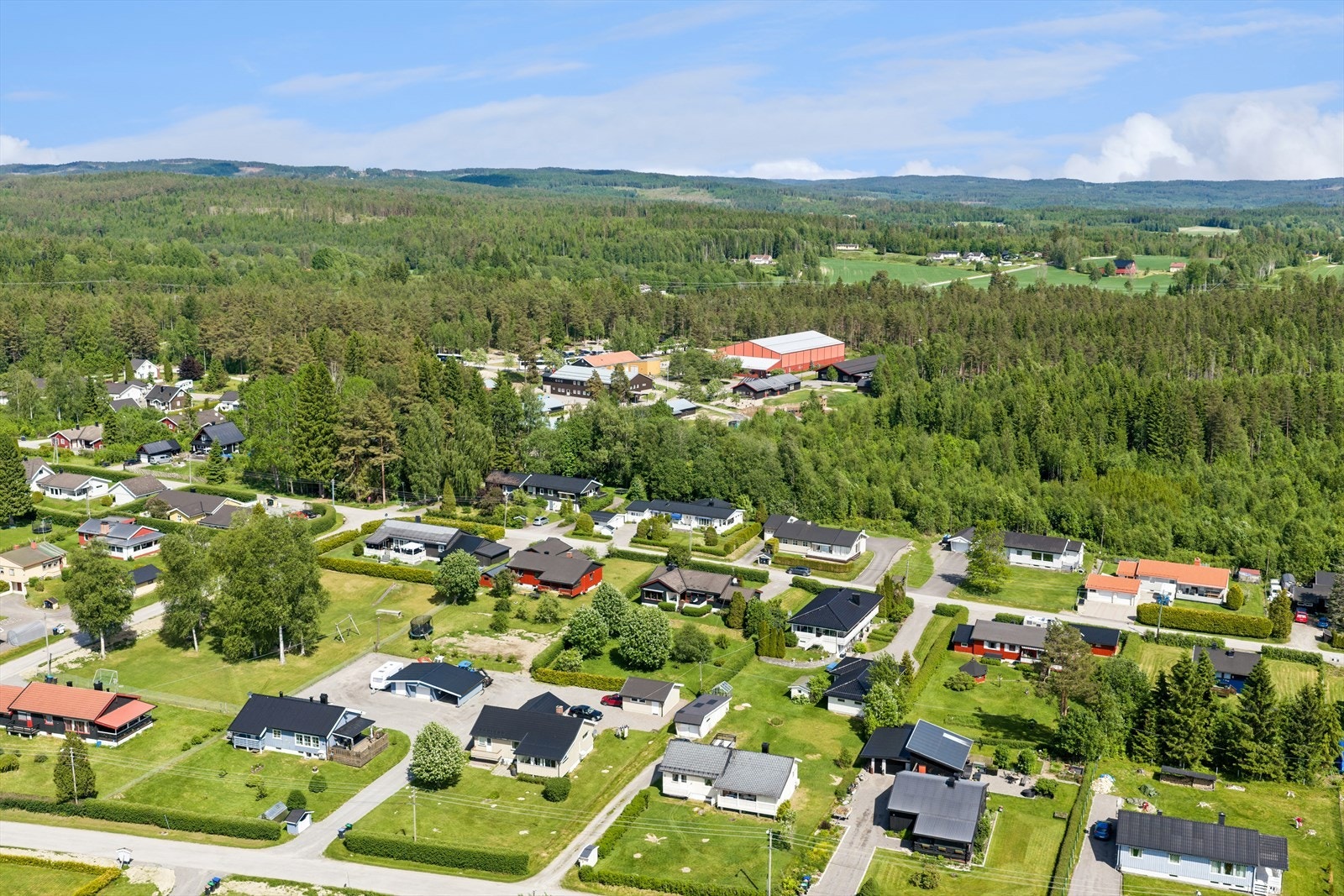 Eidskog er kjent for sine dype skoger med rike muligheter for både jakt og fiske. Galleribilde