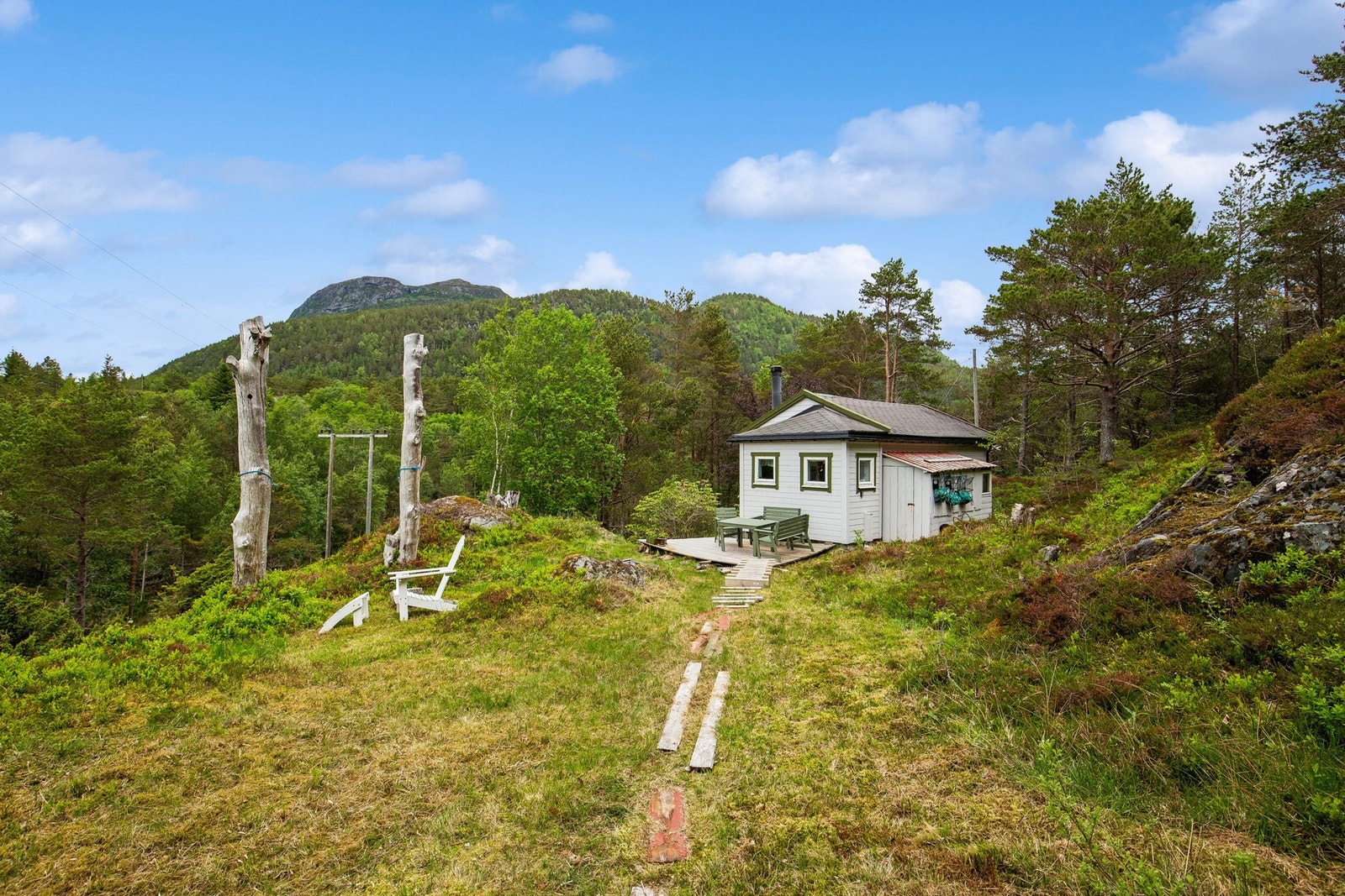 Tomten består av naturtomt Galleribilde