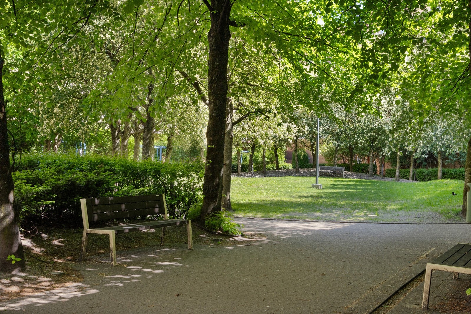 Koselig felles bakgård. Galleribilde