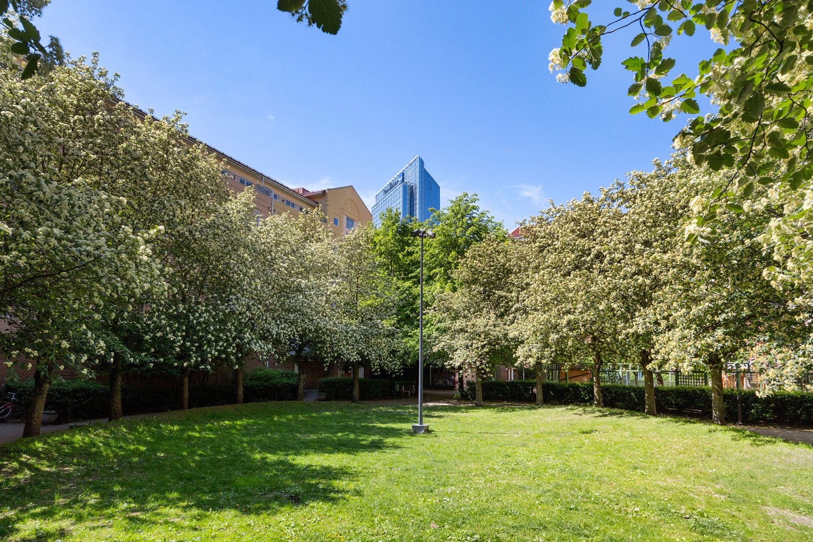 Felles gårdsrom /bakgård bestående av store grøntarealer. Galleribilde