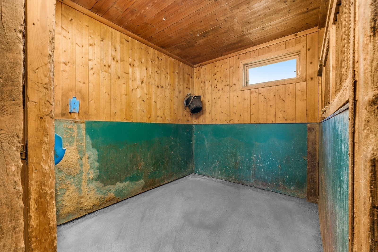 Hesteboks med trepanel og betonggulv. Galleribilde