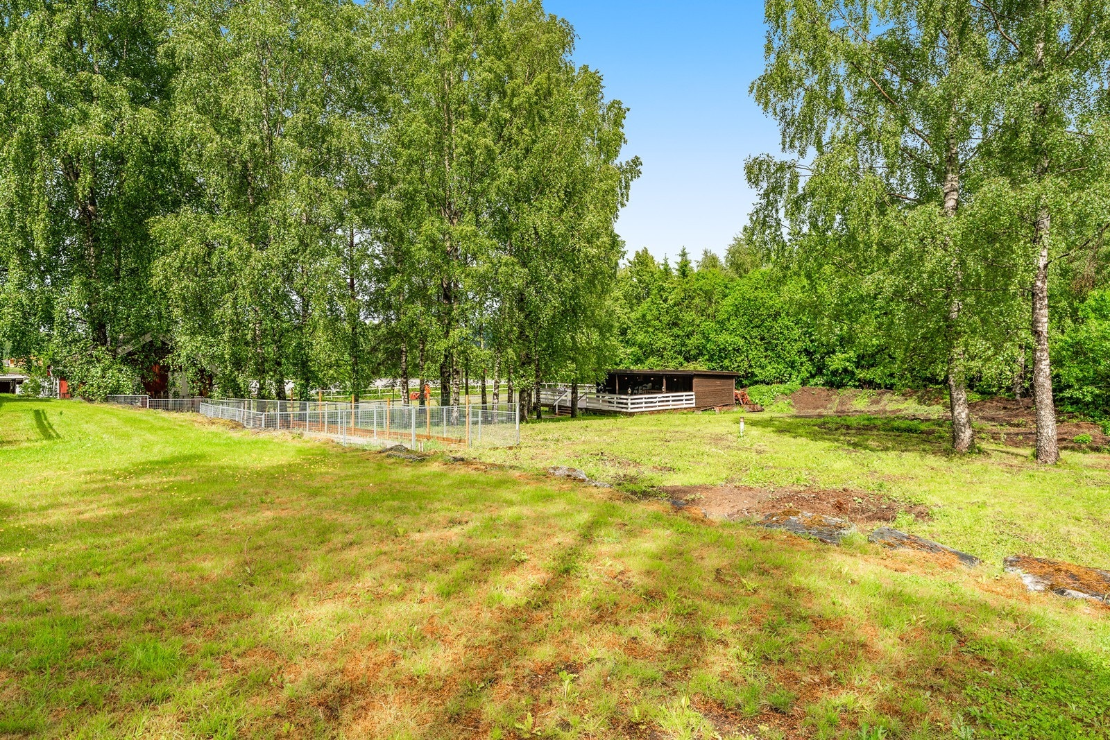Stor hage med plen og et inngjerdet område. Galleribilde