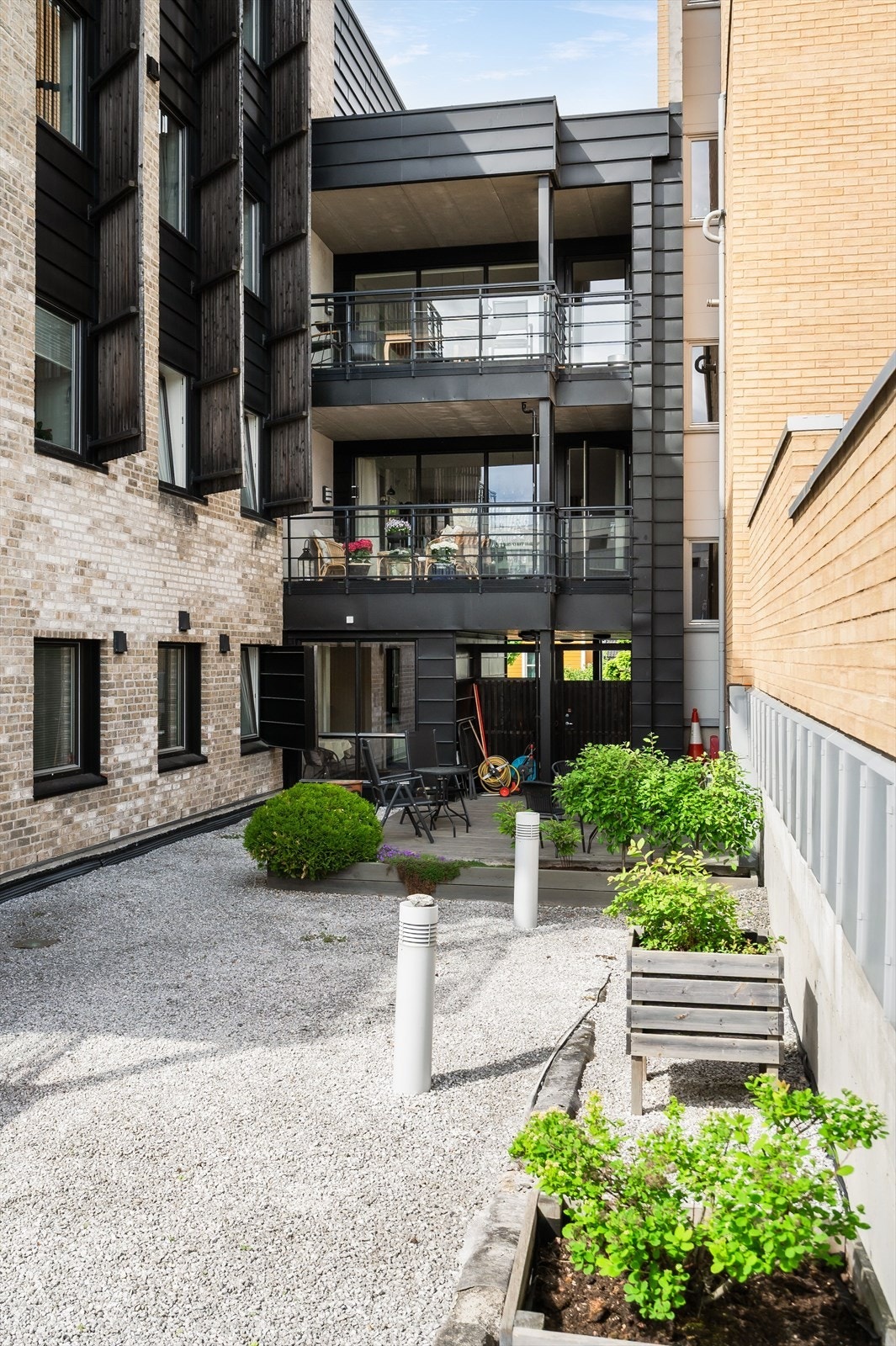 Felles bakgård med diverse beplantning. Galleribilde