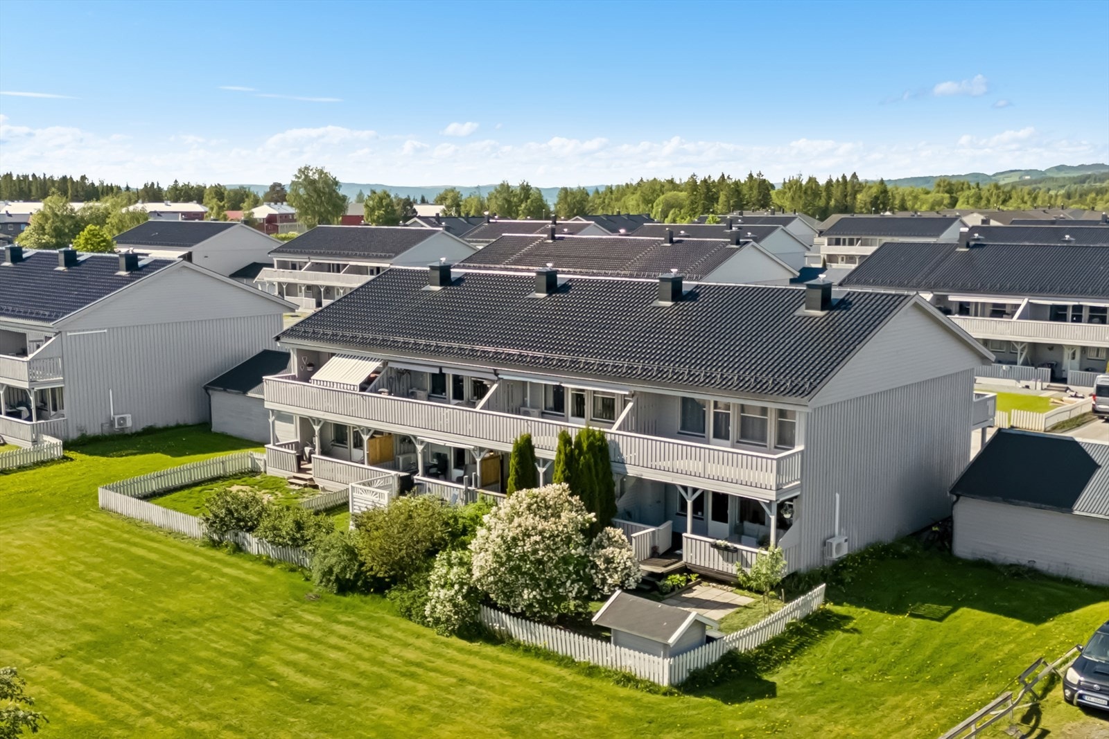 Velkommen til en hyggelig visning! Galleribilde
