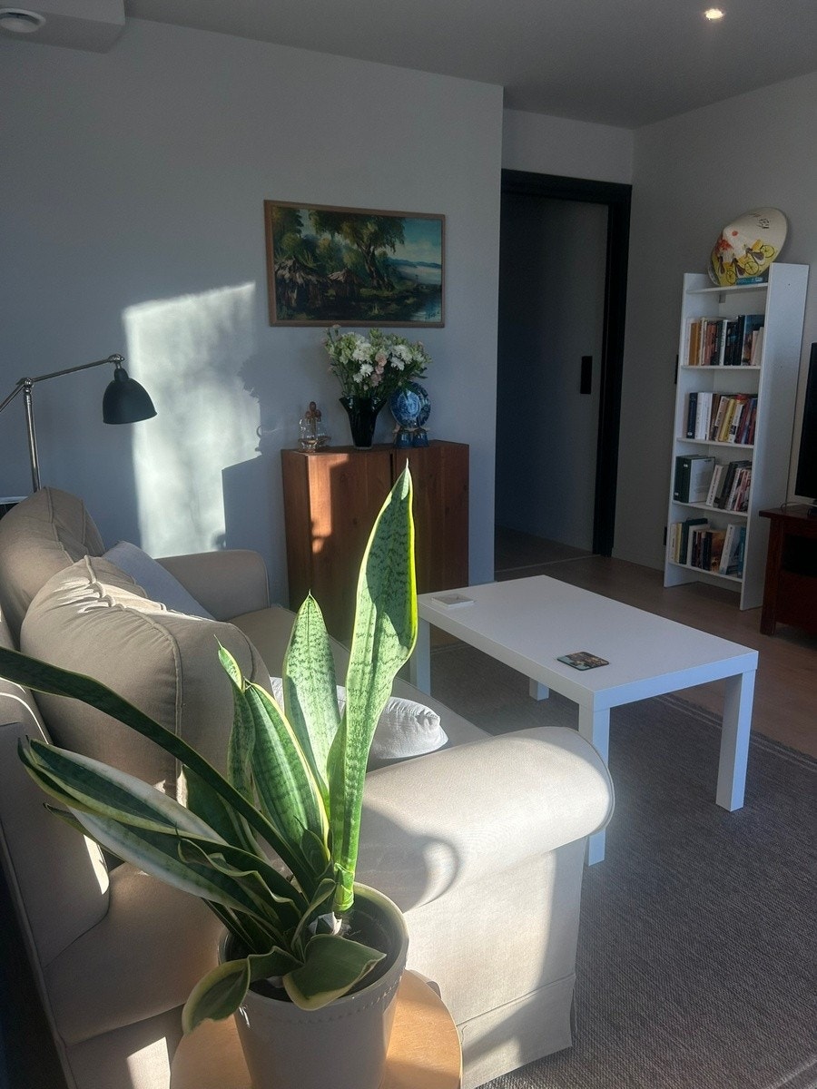 Lys og fin leilighet Galleribilde